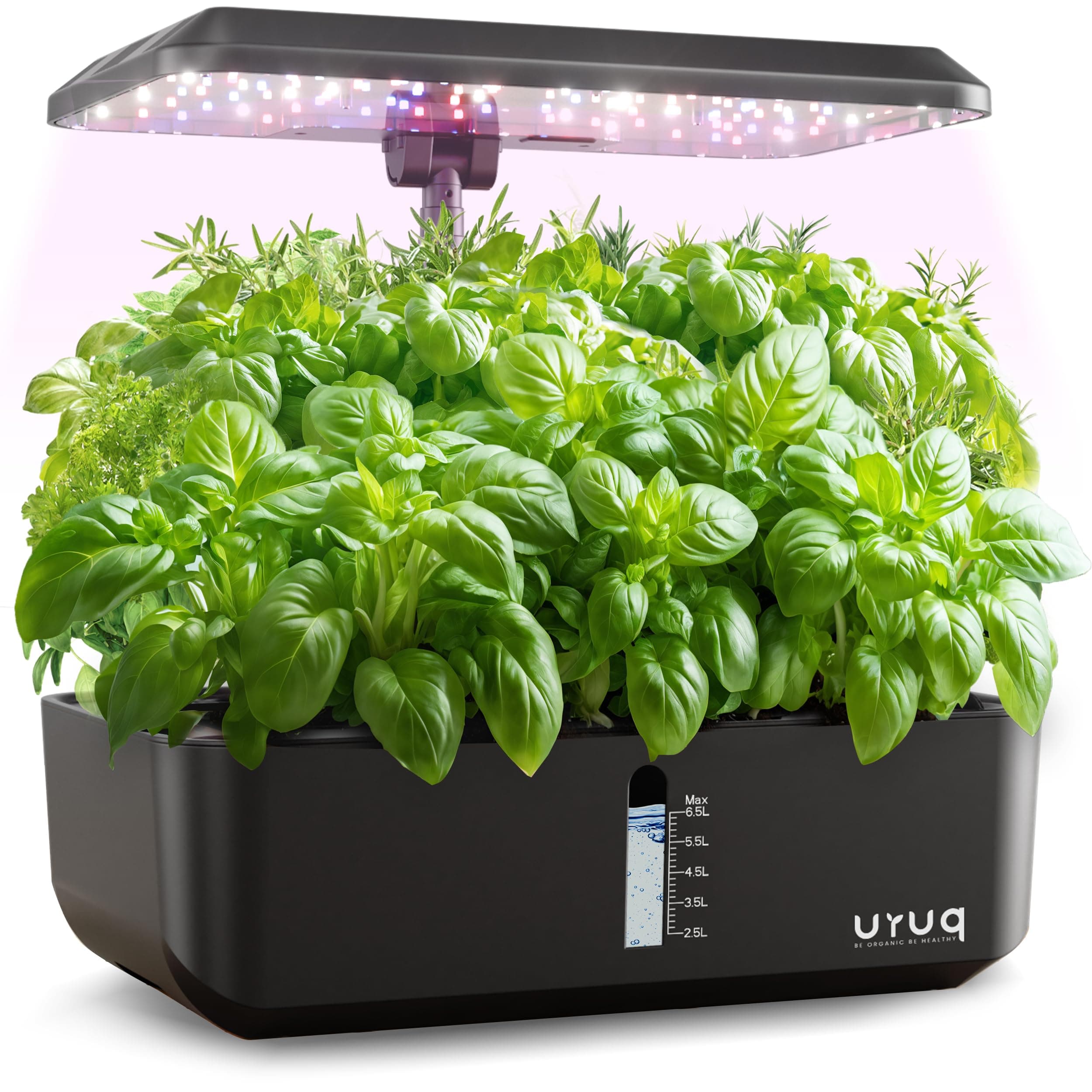 Hydroponic Growing System Indoor Garden: 12 Capsules Indoor Gardening System with LED Grow Light, Height Adjustable Plant Germination Kit, Quiet Smart Pump, Hydroponic Pot, Fresh Harvest, Black