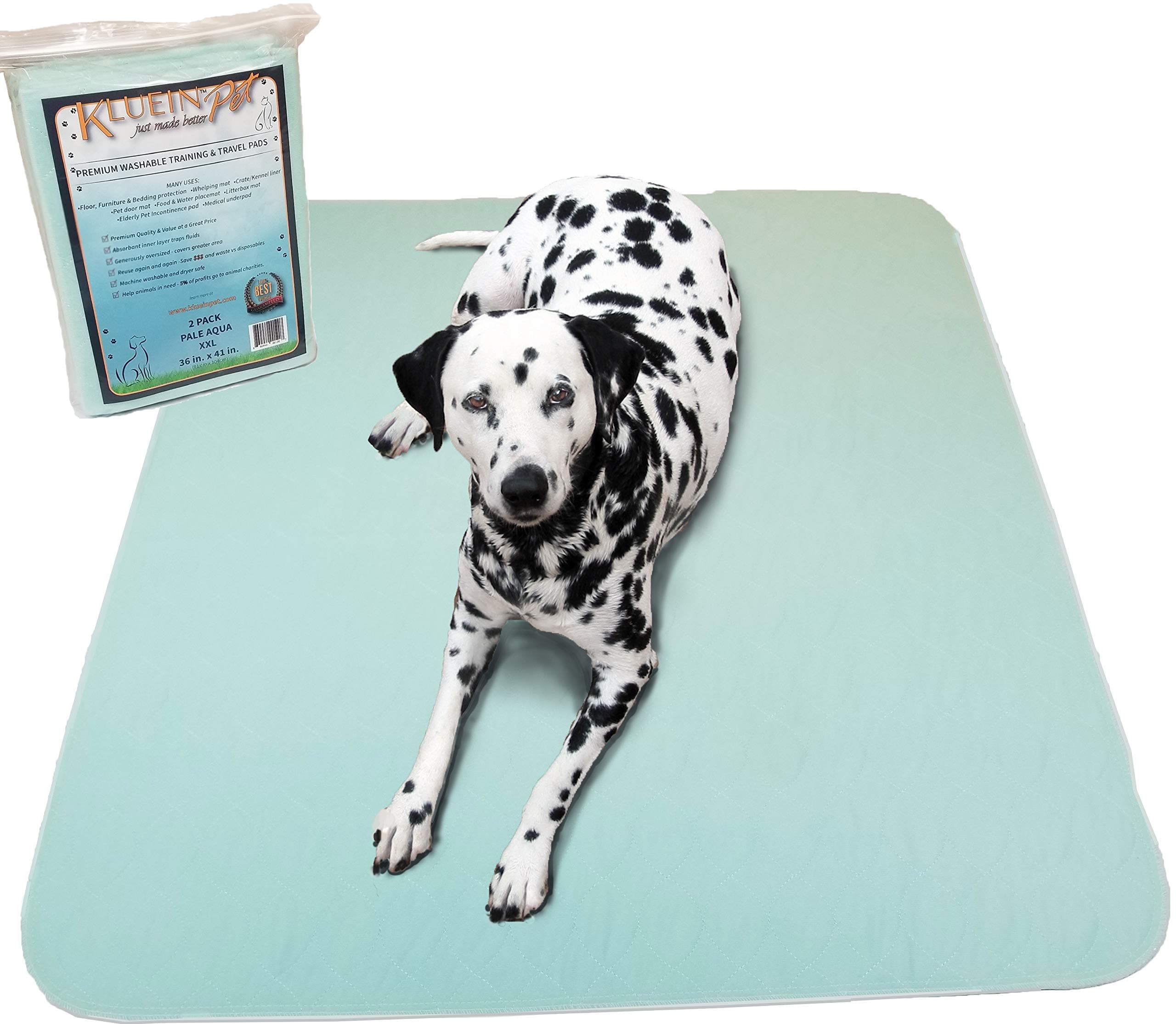 Training Pads for Dogs | Non-Slip Absorbent | Washable Pads for Dogs Cat Rabbit Guinea Pig Small Pets, Travel Carrier, Dog Crate Mat, Food Mat |2-Pack XL 36x41in Aqua