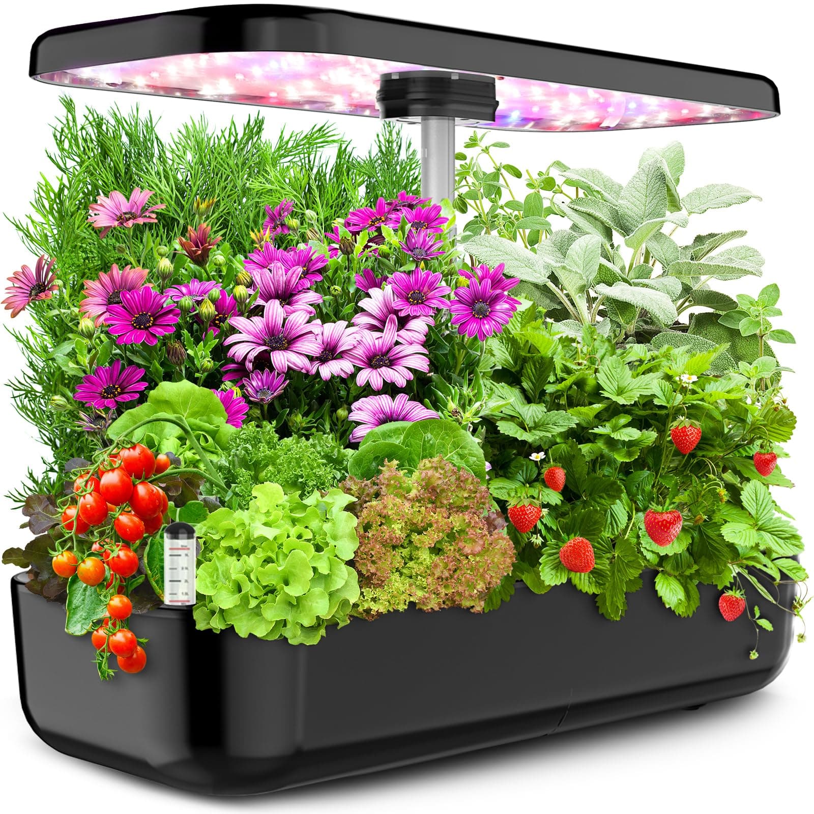 Large Size Hydroponics Growing System,12 Pods Herb Garden Kit with Grow Lights, Indoor Herb Garden with Quiet Water Pump, Automatic Timer, Height Adjustable Up to 20", Indoor Garden Gift Home Decor