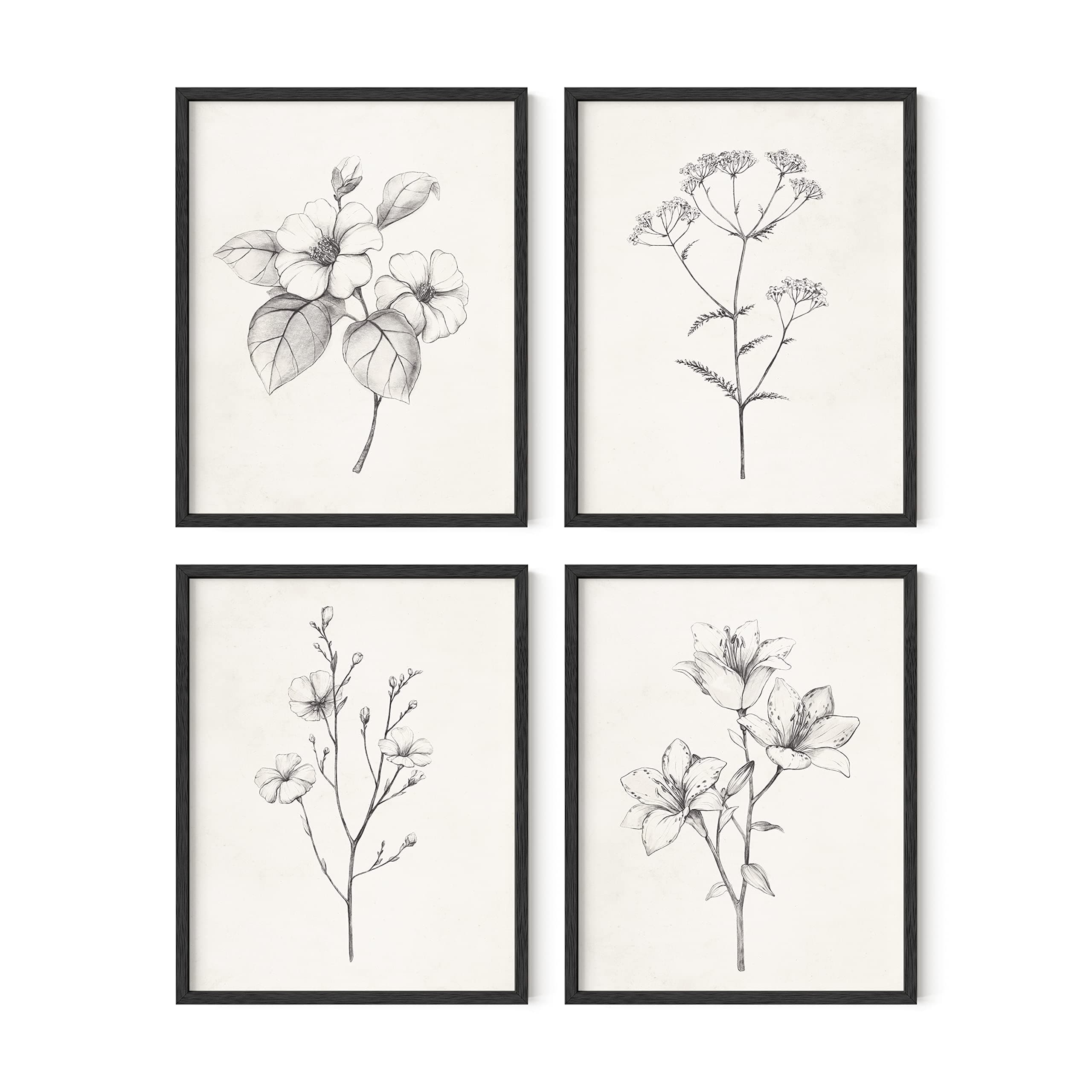HAUS AND HUES Grey Floral Wall Art - Set of 4 Plant Posters for Wall Vintage, Botanical Prints, Black and White Flower Pictures for Room Aesthetic, Farmhouse Bathroom, Rustic Art (11x14, UNFRAMED)