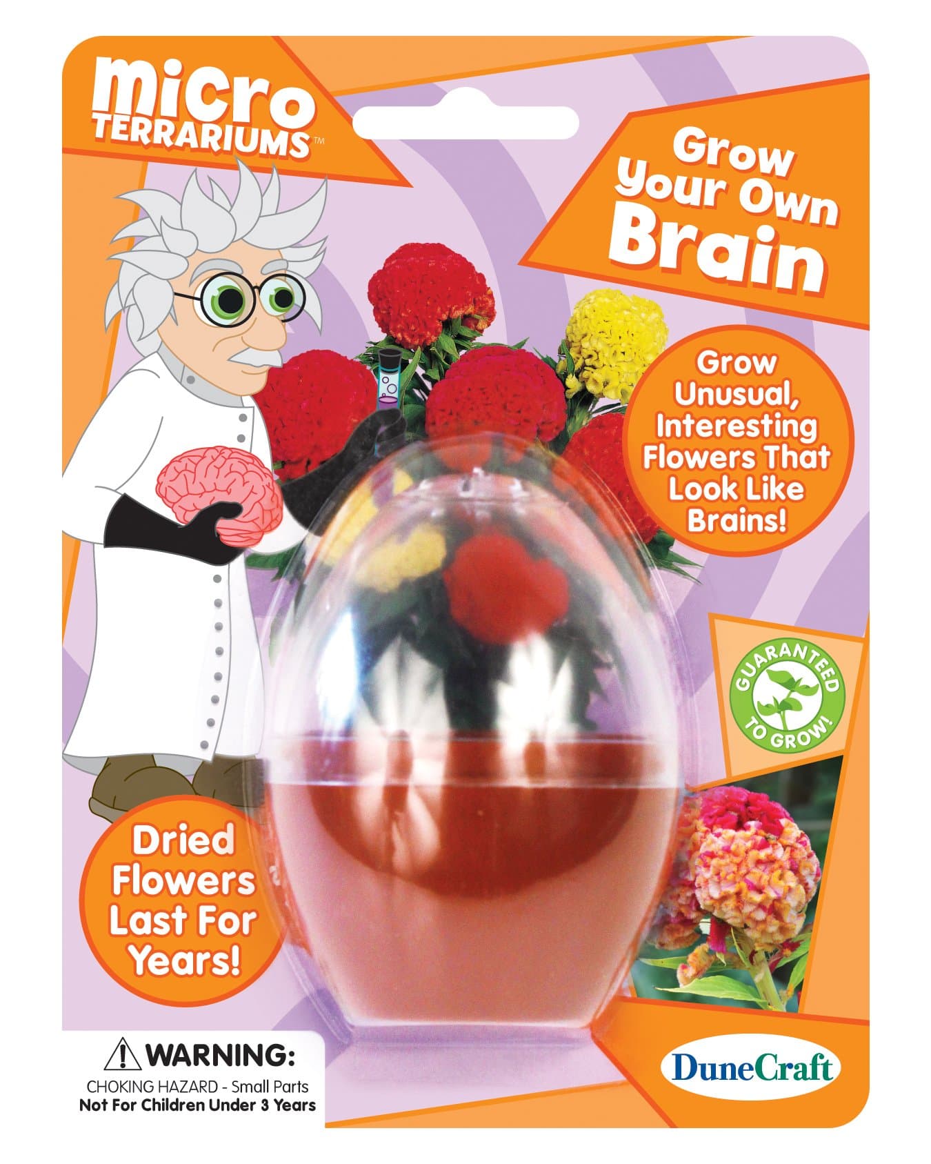 Dunecraft Grow Your Own Brain Science Kit