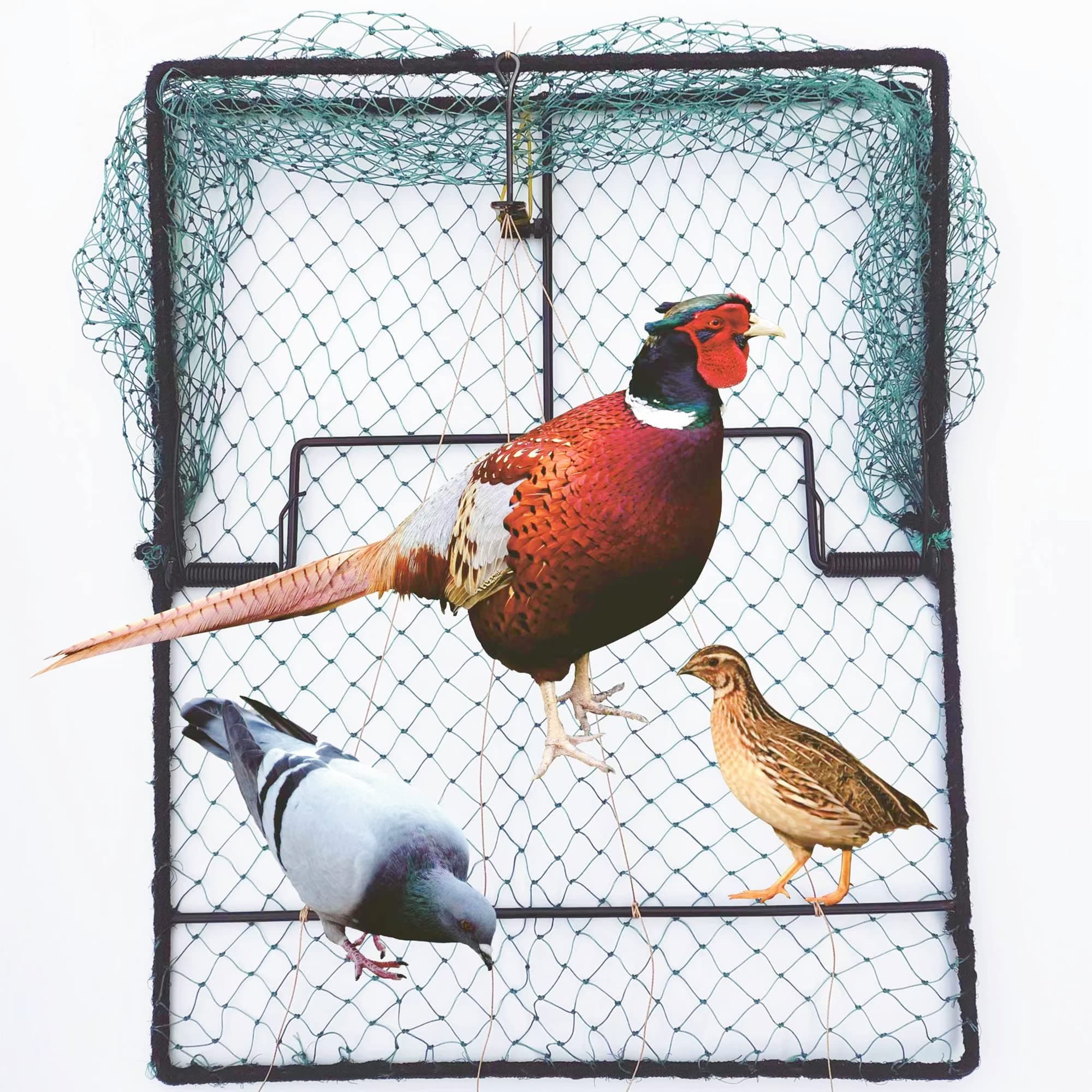 Pigeon Bird Trap Quail Sparrow Spring Starling Catching Net Traps for Trapping
