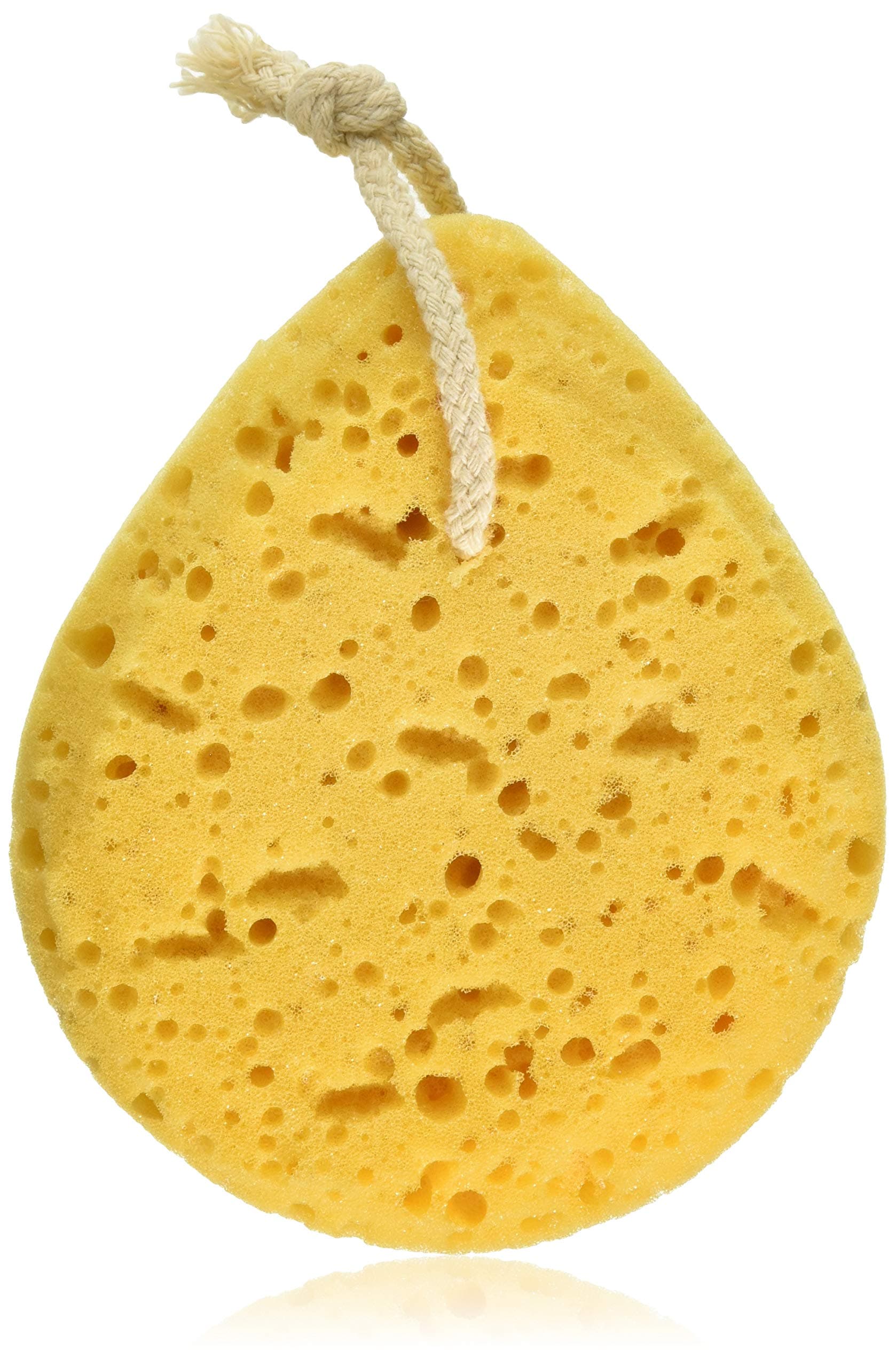 Retail Imports Sea Foam Bath Sponge - 3 Ea