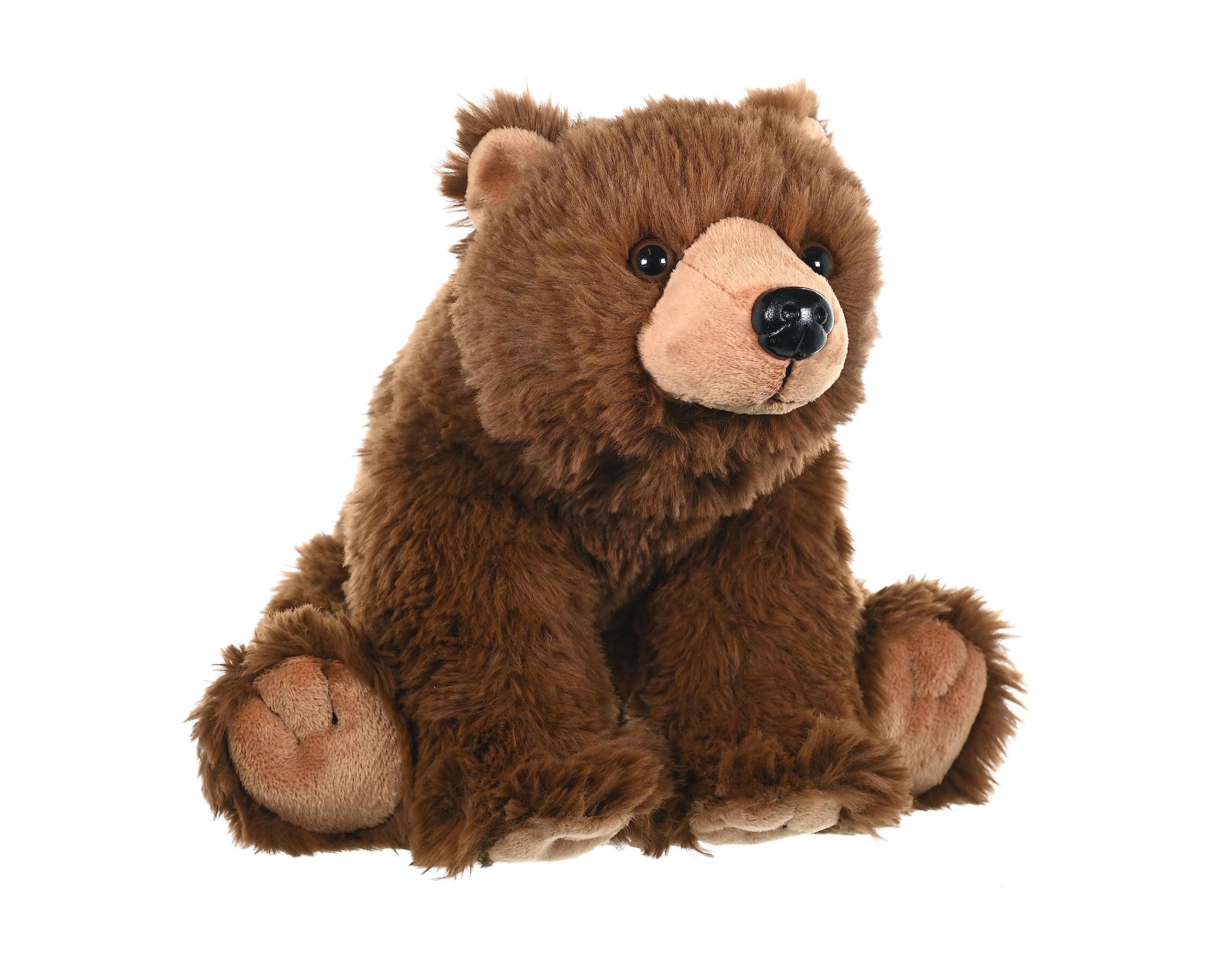 Wild Republic Brown Bear Plush Soft Toy, Cuddlekins Cuddly Toys, Gifts for Kids 30 cm, 12"