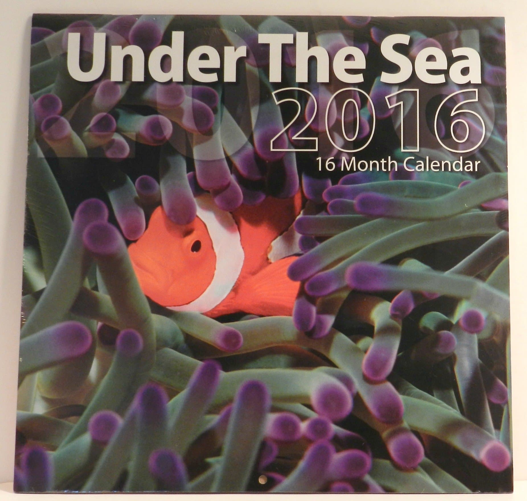 Under the Sea 2016 16-month Wall Calendar
