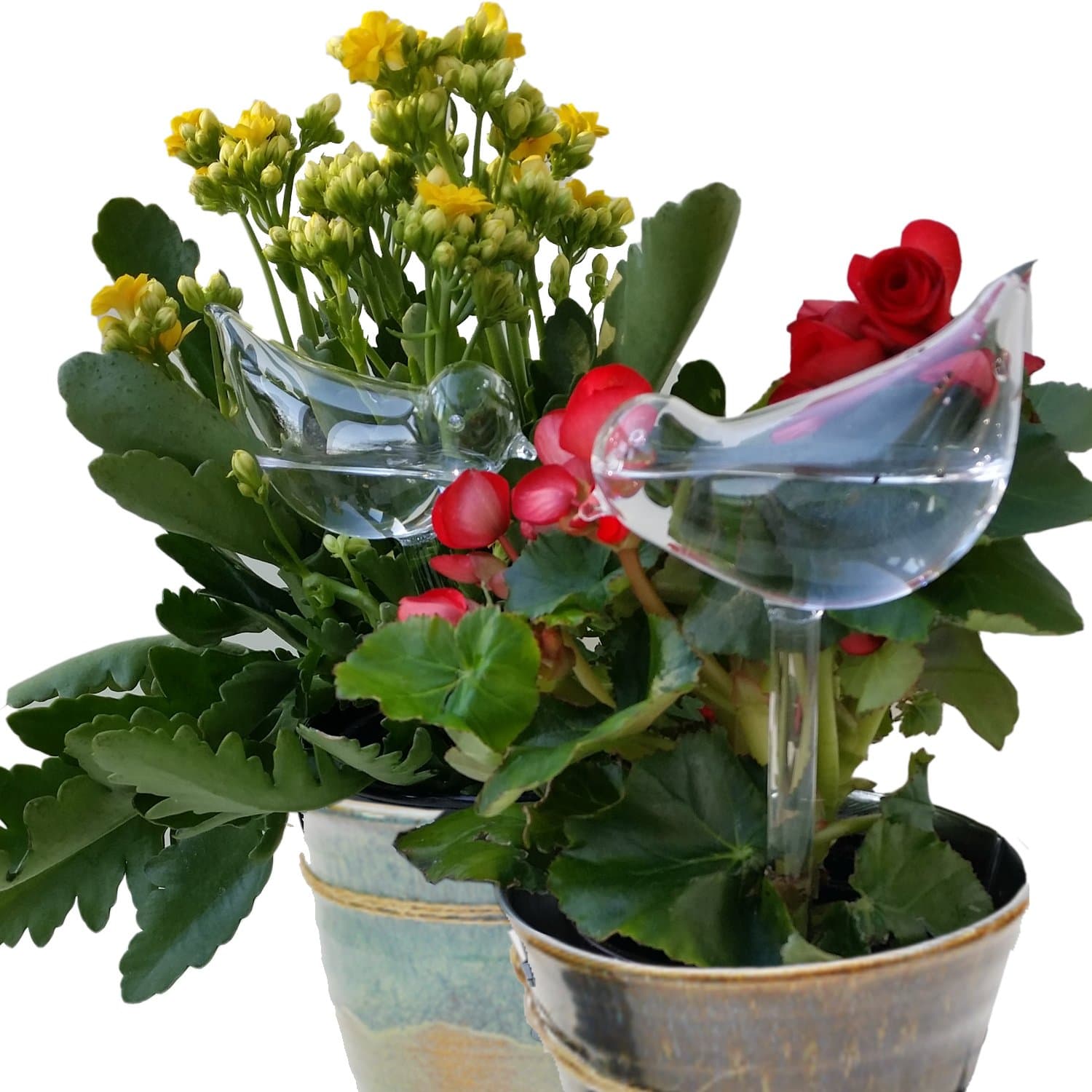 EarthMod: Vacation Or Not, House Plant Self Watering With Best Hand Blown Glass Bird Waterer System Is Easy As Aqua Globes. Automatic Globe Irrigation For Patio, Lawn, Garden Pot Or Planter.