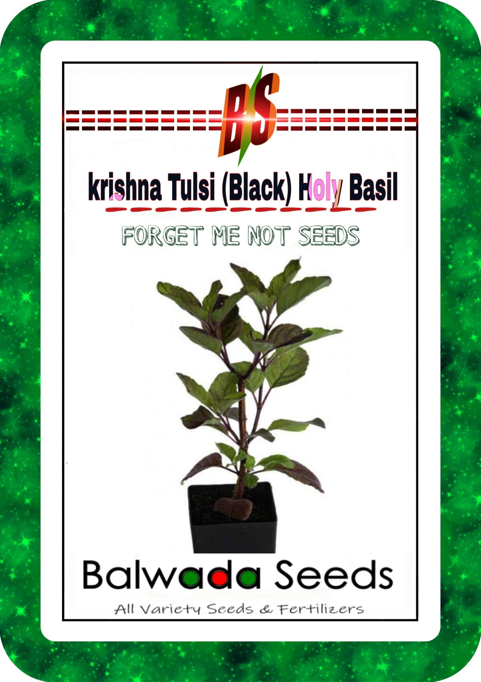 Balwada seeds Krishna Black Holy Basil Selected Tulsi Seeds-200 Seeds Packet