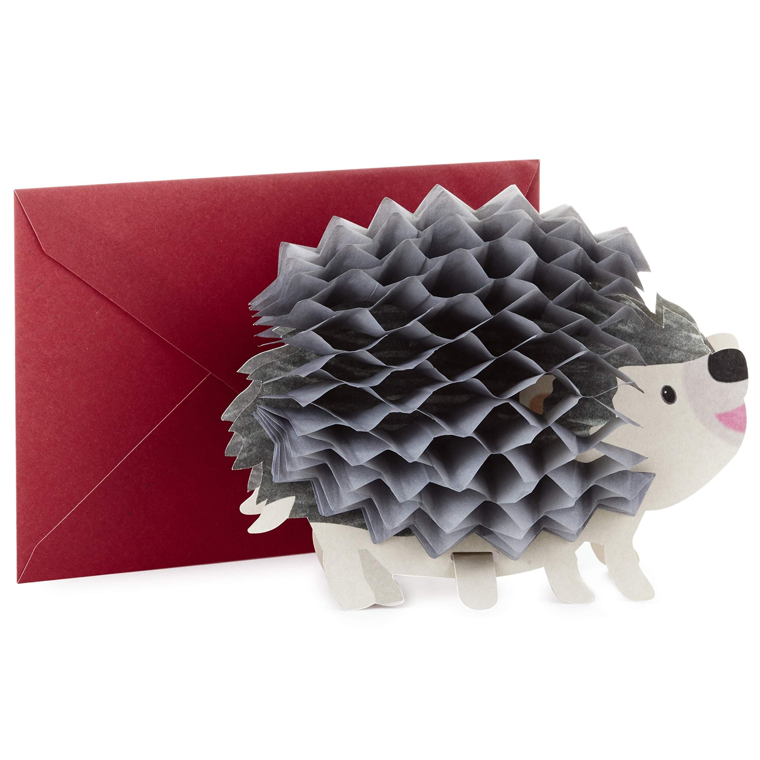 Pop Up Birthday Greeting Card (Honeycomb Hedgehog) (599RZQ1002)
