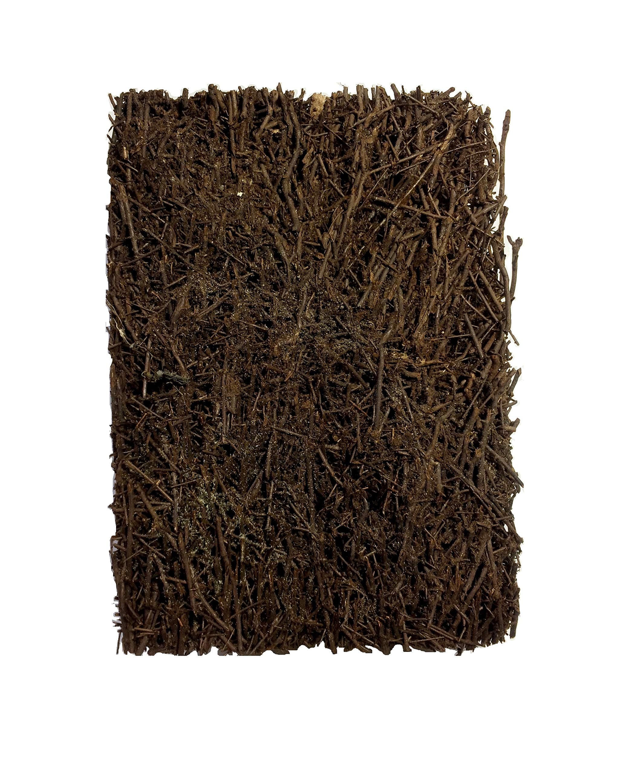 Fern Block Best Uses for Orchid Hanging I Orchid Growing I Vanda Hanging I Light Weight I Size 6 x 4 x 1 Inches I 100% Natural Product