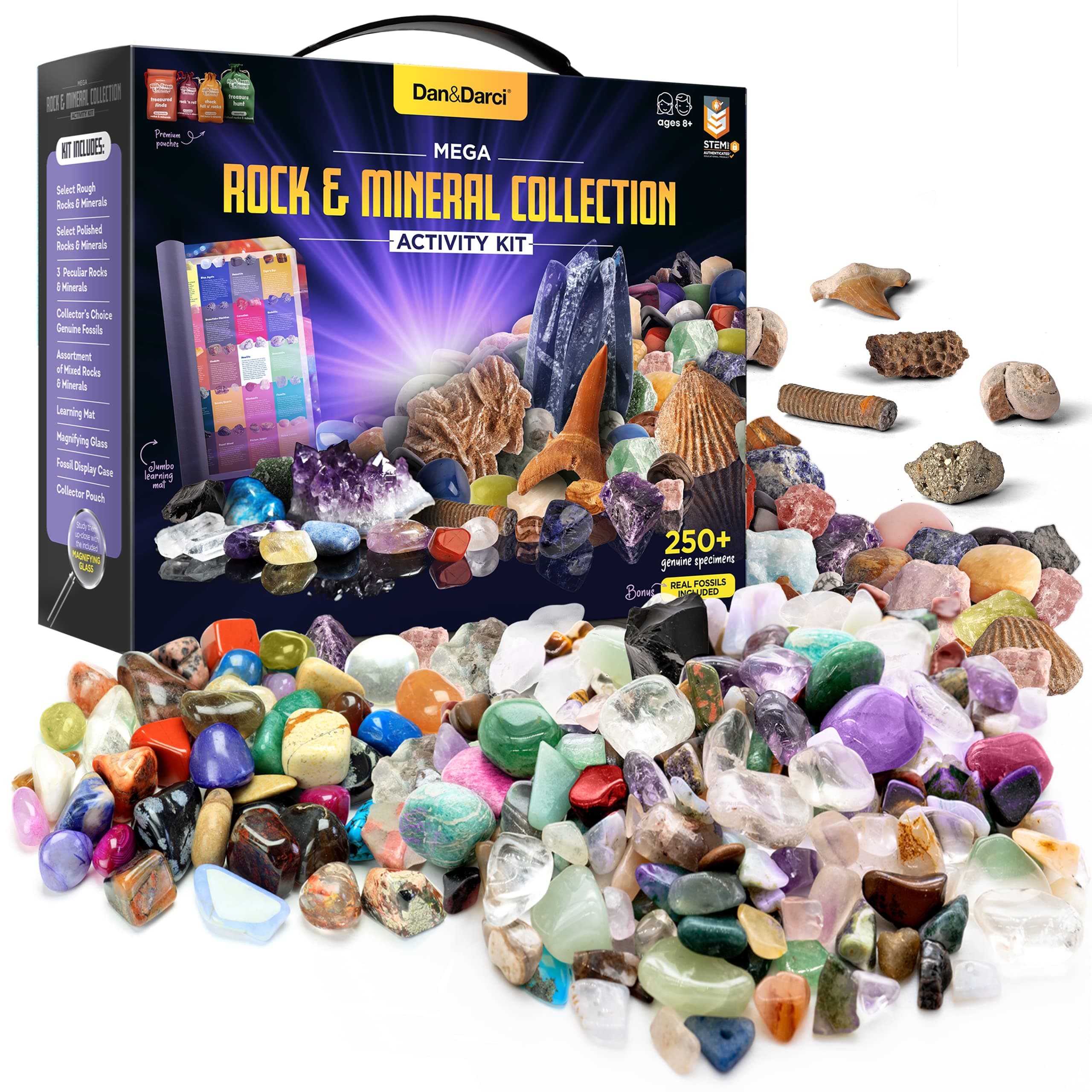 Rock Collection for Kids - Includes 250+ Bulk Rocks, Gemstones & Crystals + Genuine Fossils and Minerals - 2 Lbs. - Geology Earth Science STEM Toys Activity, Gifts for Boys & Girls Ages 6+