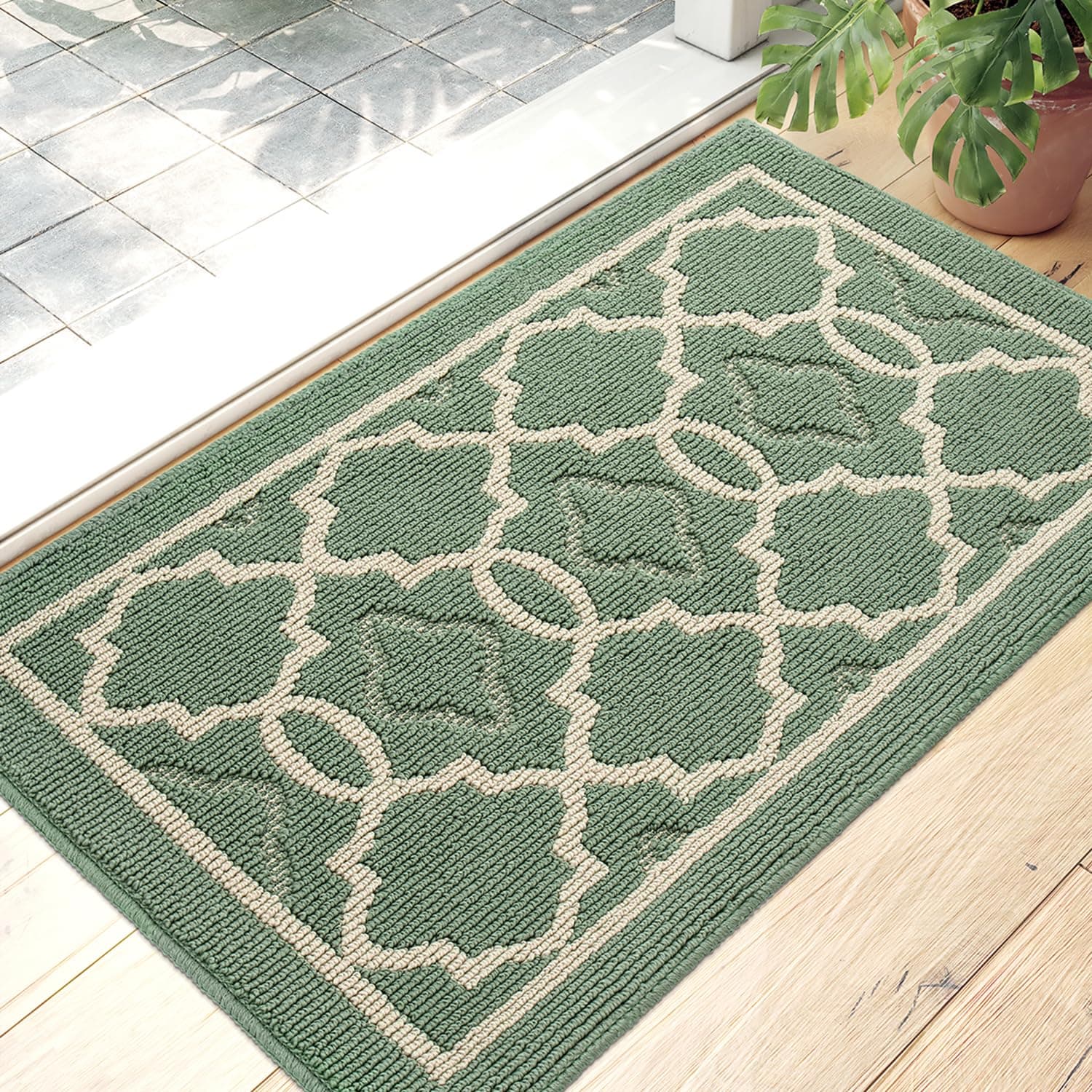 DEXIDirt Trapper Door Mat 50 x 80 cm, Non-slip Entrance Rug for Indoor and Outdoor, Machine Washable Soft Floor Mat, Super Absorbent Front Door Mat Carpet, Green