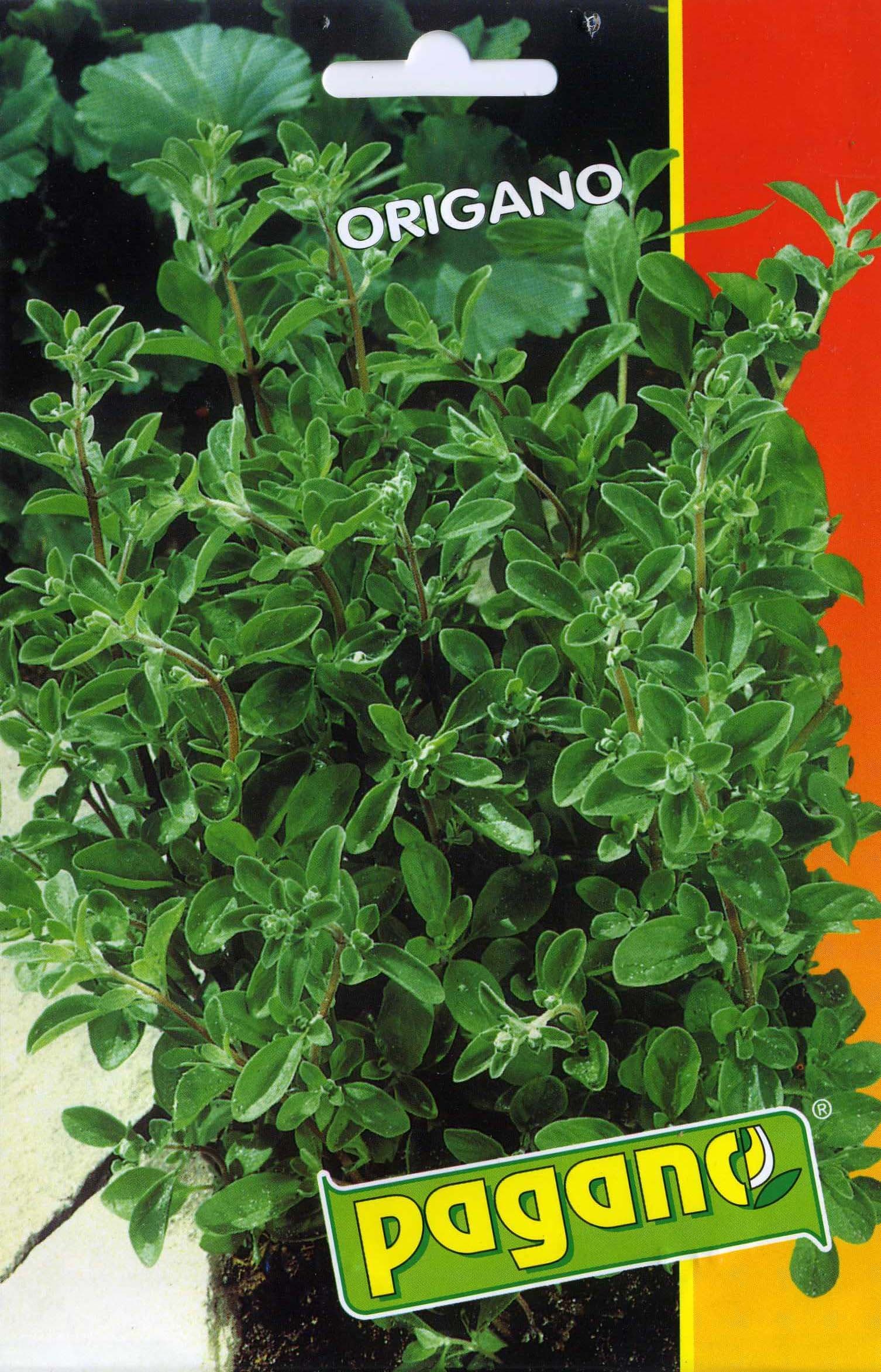 Pagano 1396 Oregano (Origano) Seed Packet
