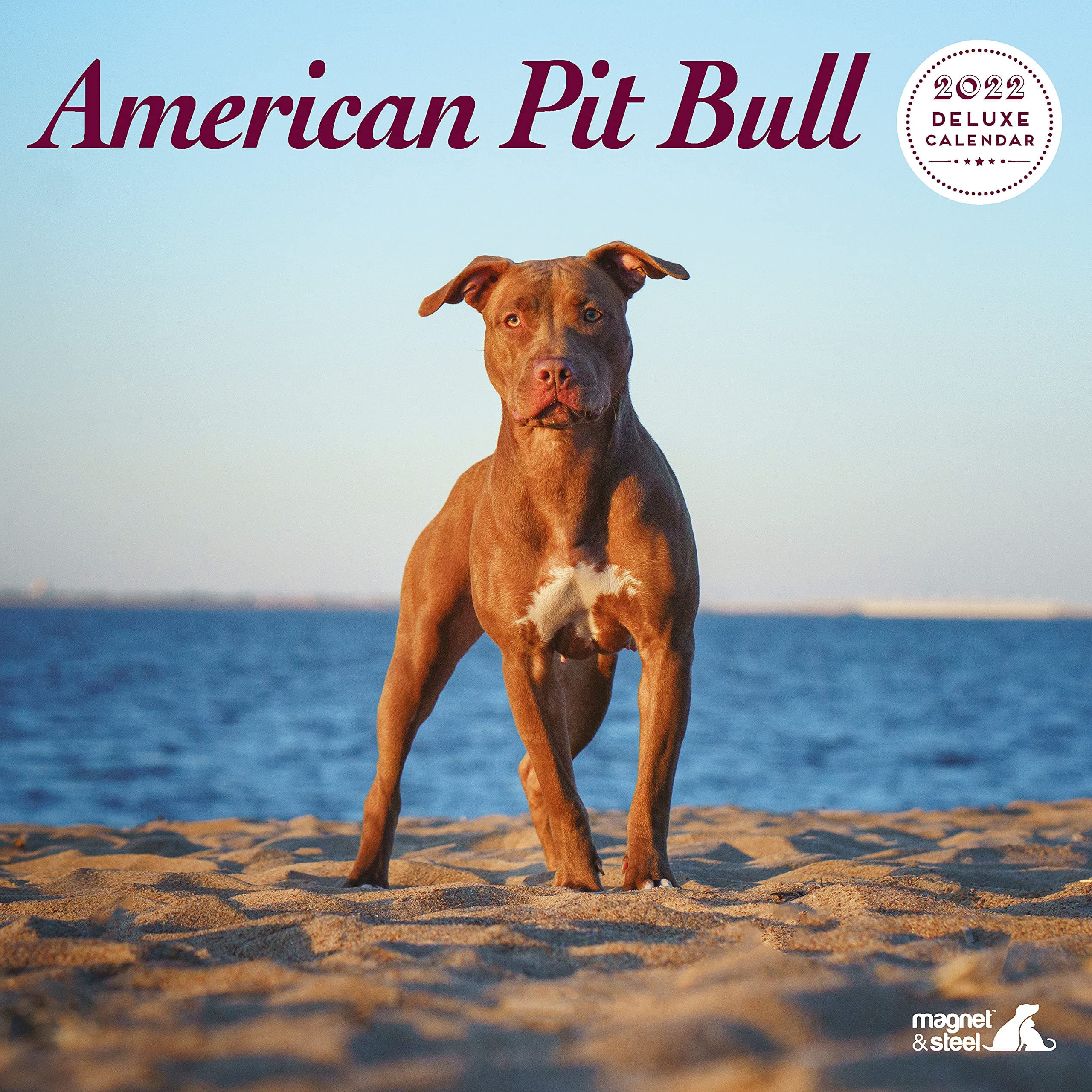 Magnet & Steel American Pit Bull 2022 Calendar: Deluxe Dog Calendar - Wire Bound Wall Calendar 2022-2023, (12 x 12 in) 12 Months - Dog Owner Gift - Dog Lover Gift, (10036)
