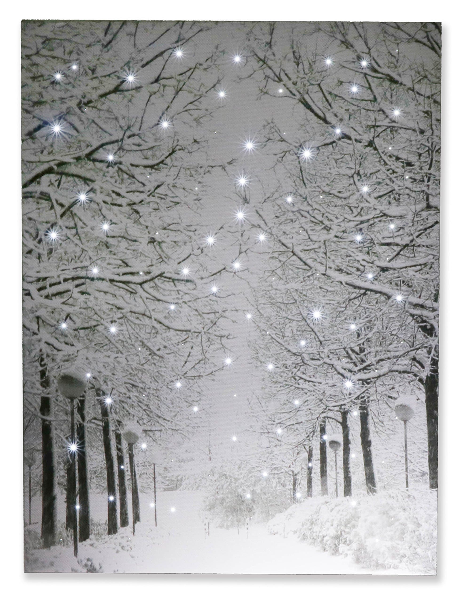 16 x 12 Inch Christmas LED Wall Canvas Art Home Decor, Light Up Battery Operated Snowy Winter Scene, Winter Path