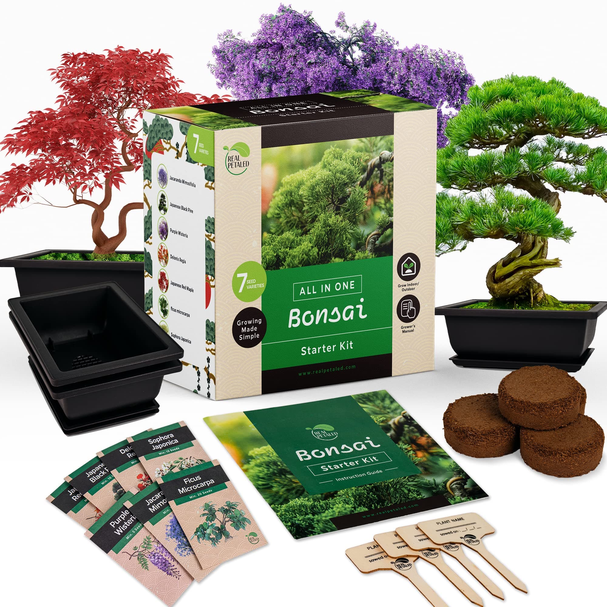 Bonsai Starter Kit - Japanese Tree With Tools, 7 Seeds, Pots Complete Grow Your Own Live Plant Lover Gifts Home For Men And Women