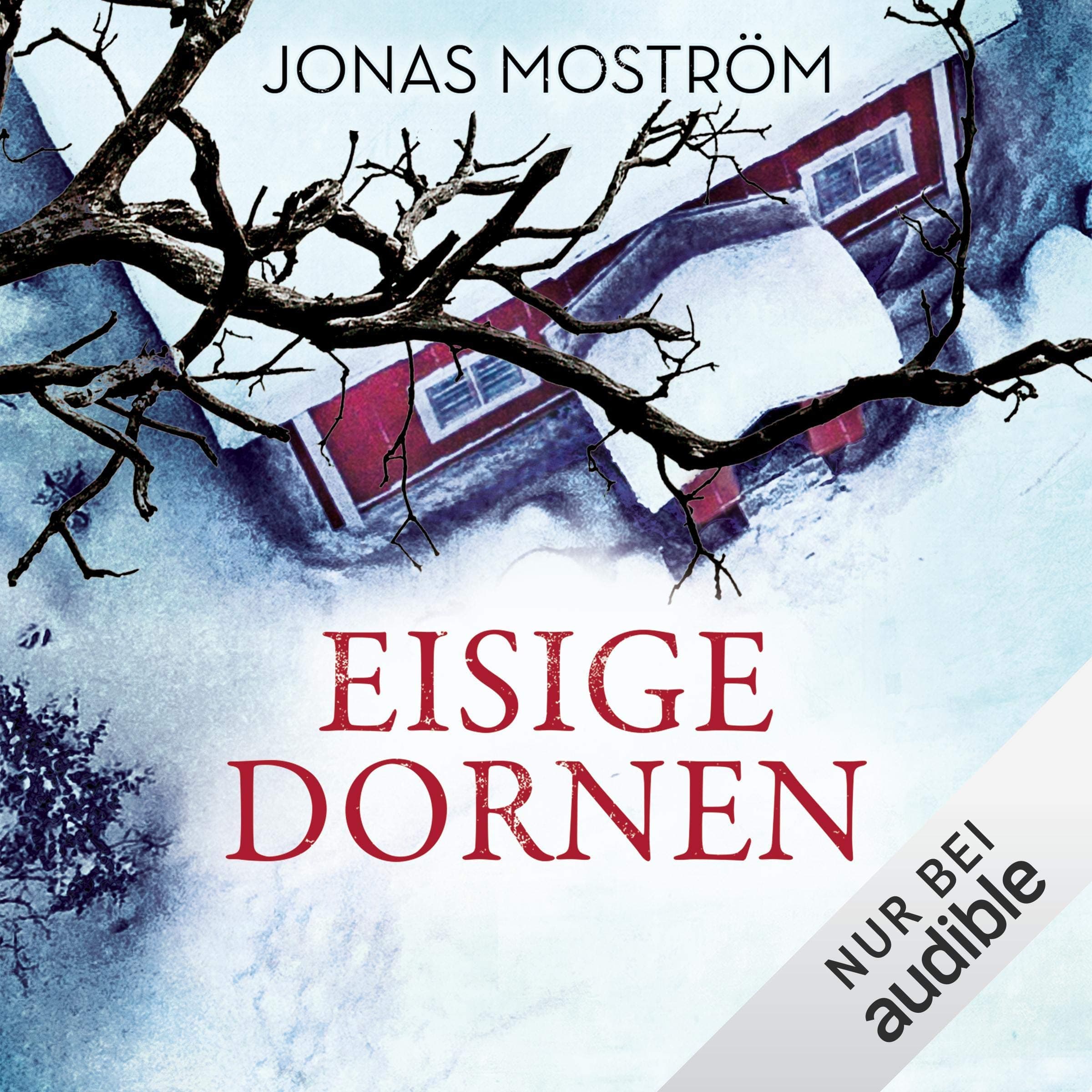 Eisige Dornen: Nathalie Svensson 4