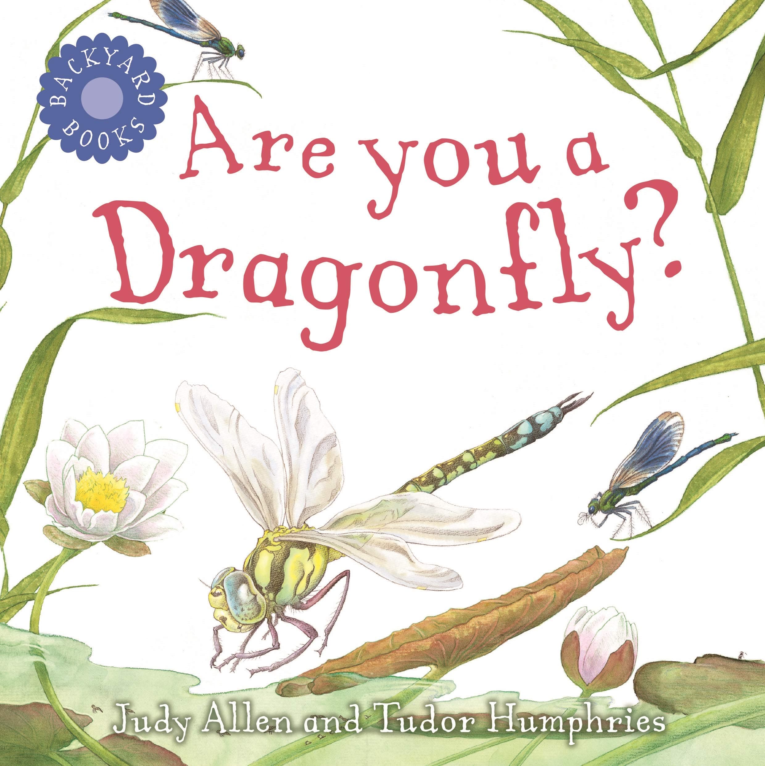 Are You a Dragonfly? (Backyard Books) Paperback – Picture Book, May 13, 2004