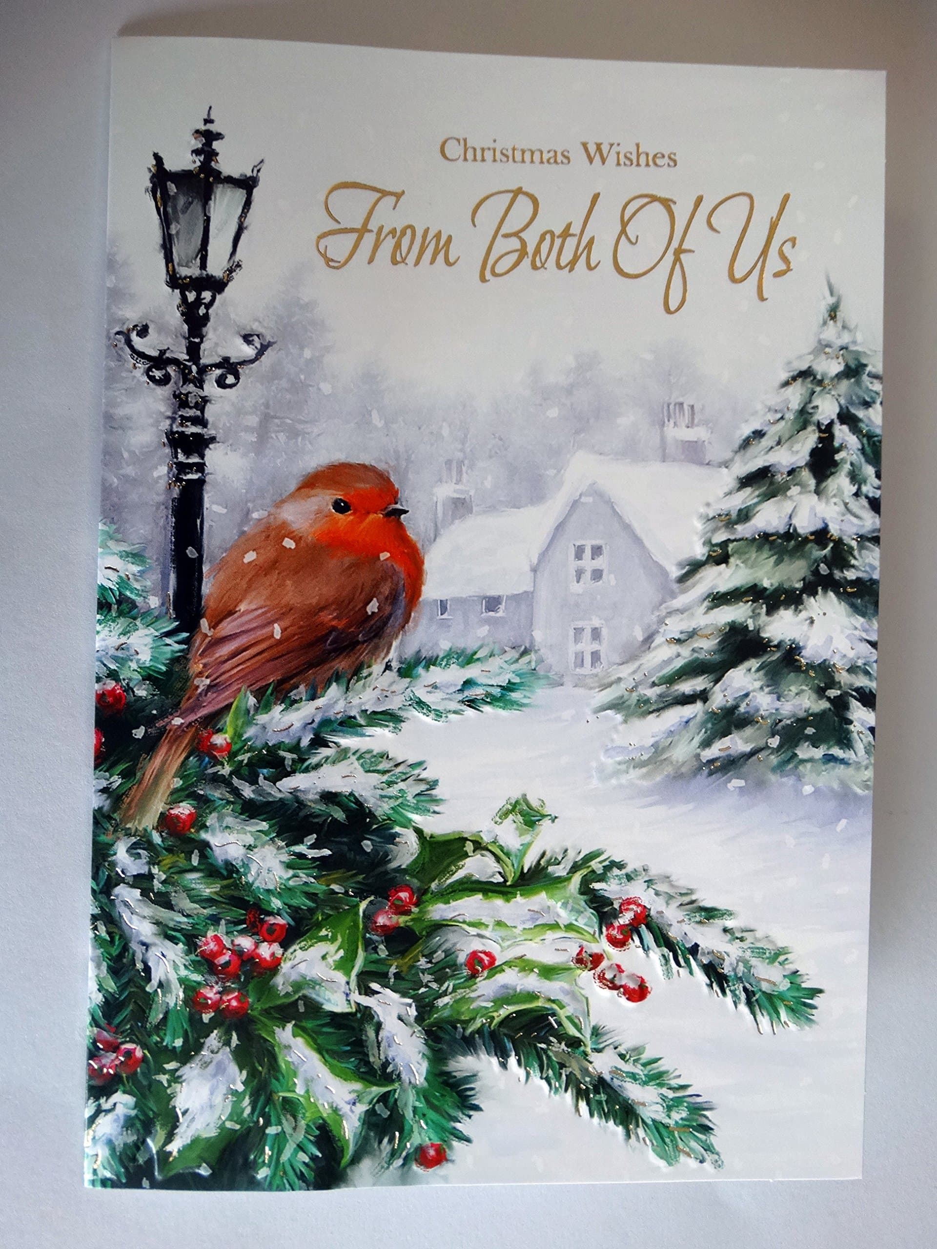 Special Days From Both Of Us Robin Tree Berry Snow Cottage & Lamp Design Christmas Card