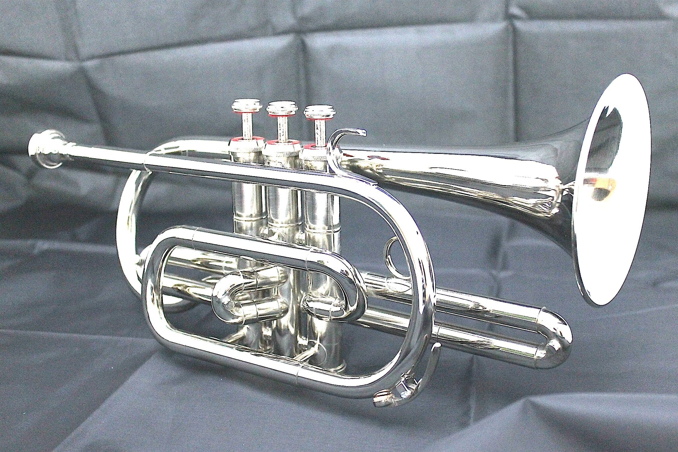 PICCOLO TRUMPET WITH mouthpiece and hard case