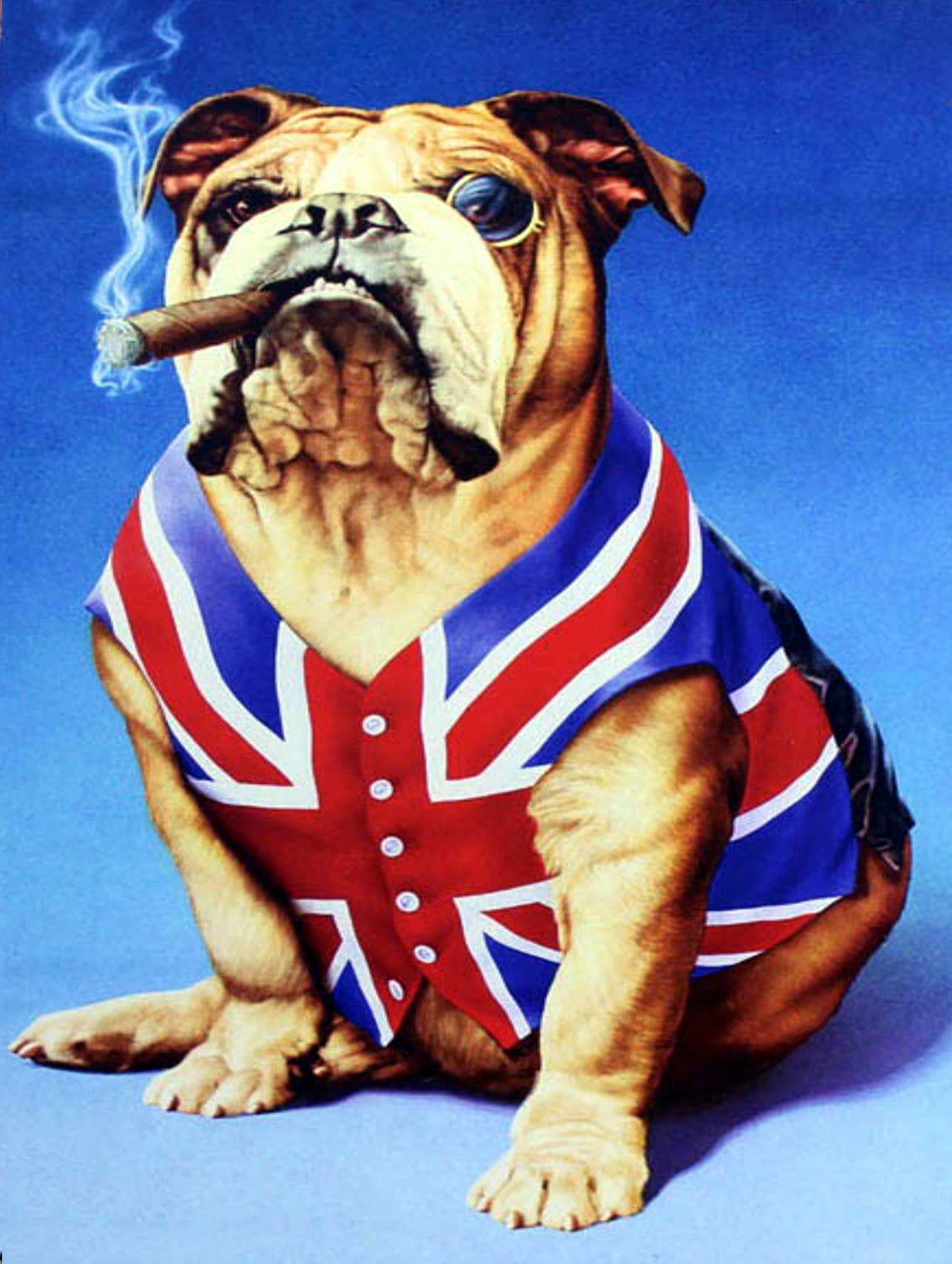 Shawprint bulldog union jack british, Retro metal Aluminium Sign vintage bar pub man cave (150MM X 200MM (6" X 8"))