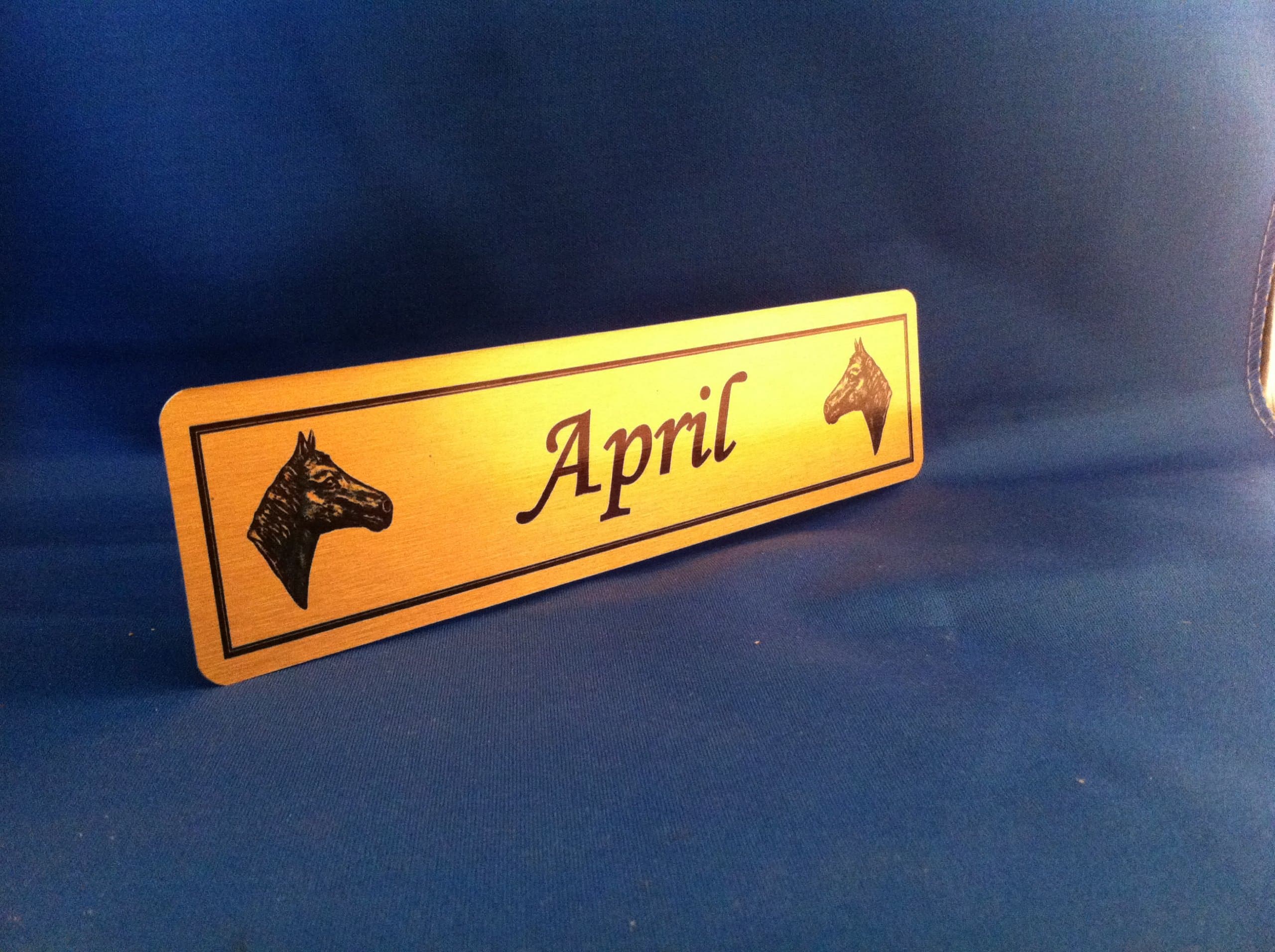 CC Memorials Personalised Horse Name Plaque Stable Door Sign 200mmX50mm Brass Effect Aluminium