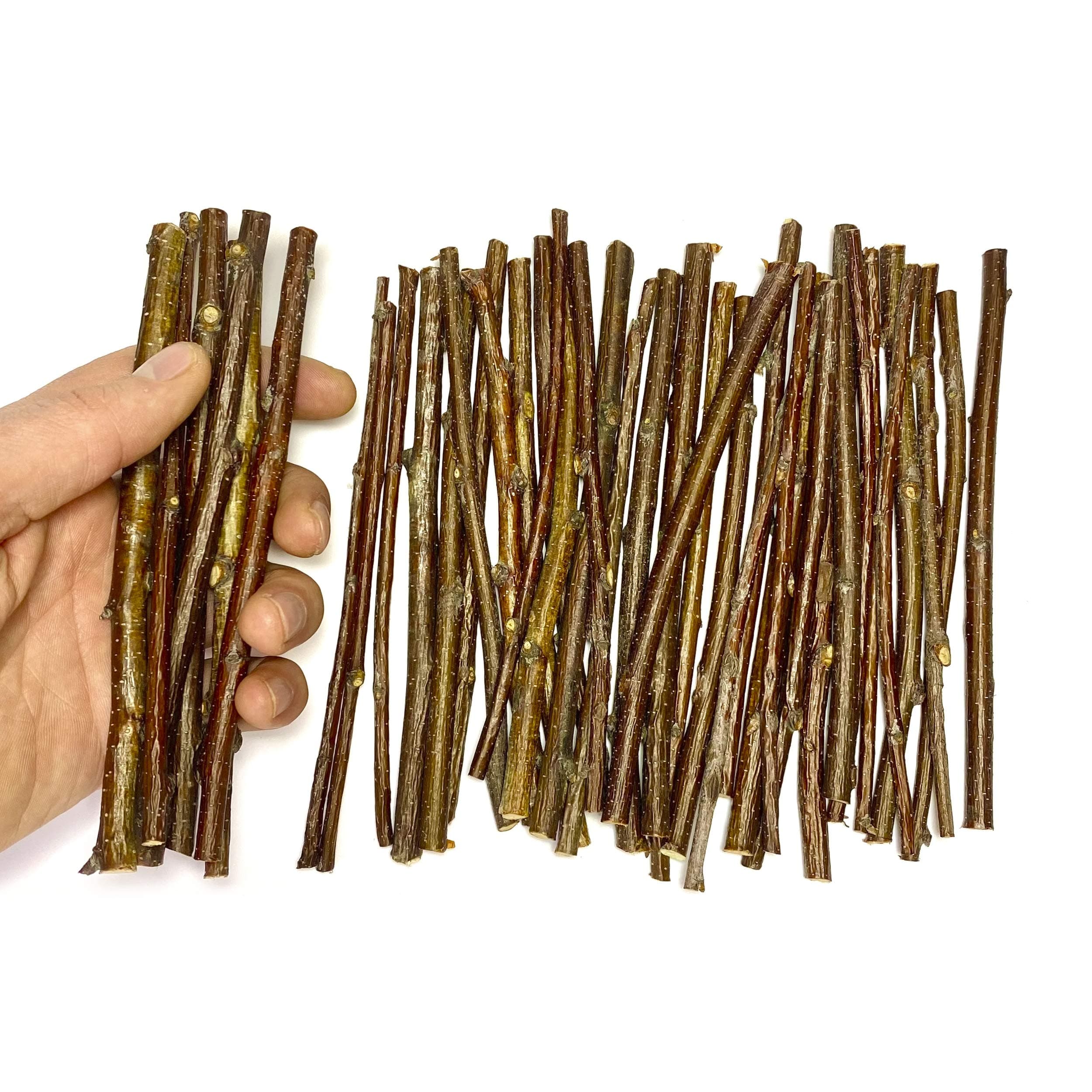 ECOVENIK 120 Gram - Wood Sticks for Crafts - 6 Inch Birch Wood Craft Sticks - Natural Twigs Sticks for Crafting, DIY School Projects, Card Making, Embellishments & Photo Props