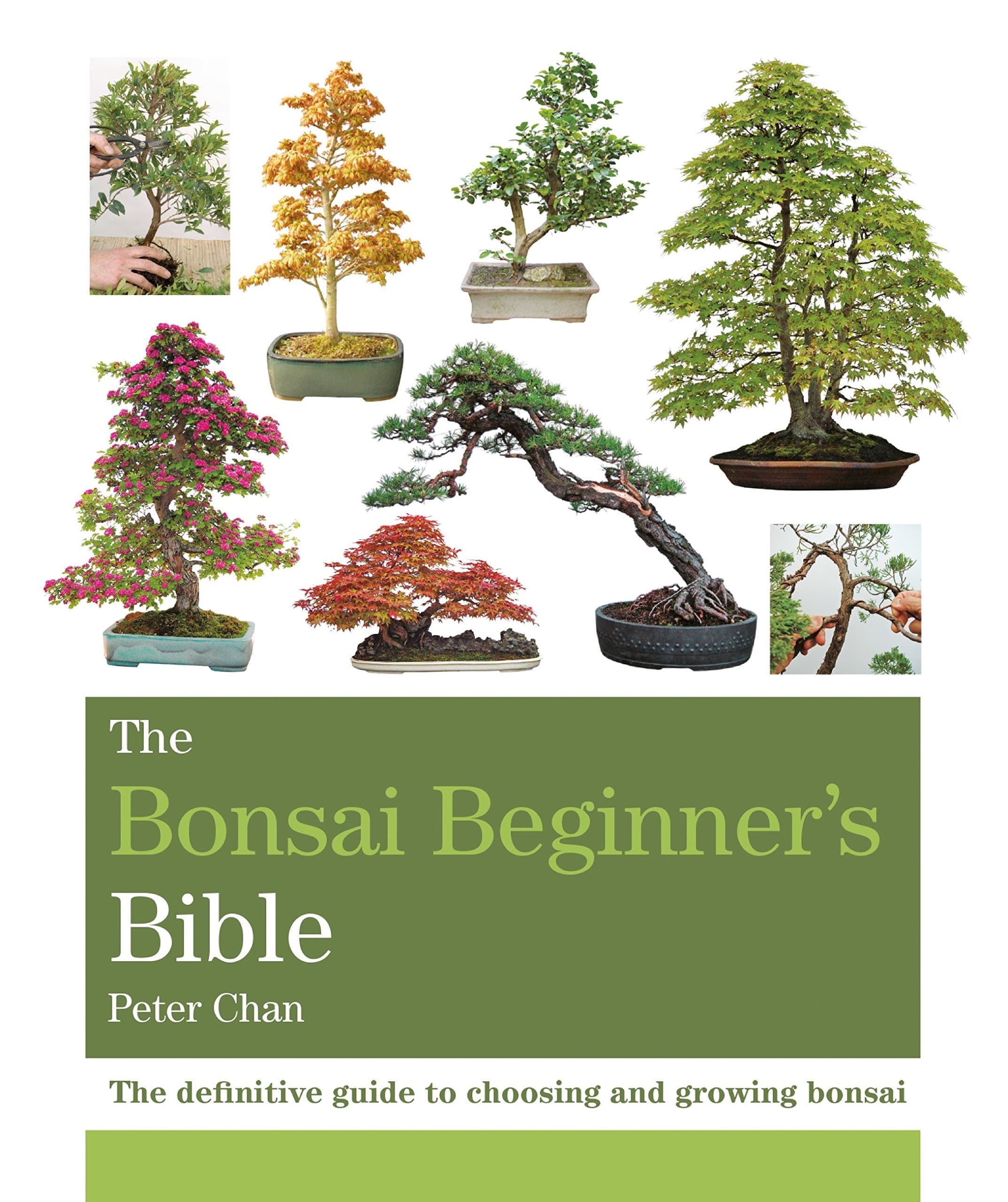 The Bonsai Bible: The definitive guide to choosing and growing bonsai Kindle Edition