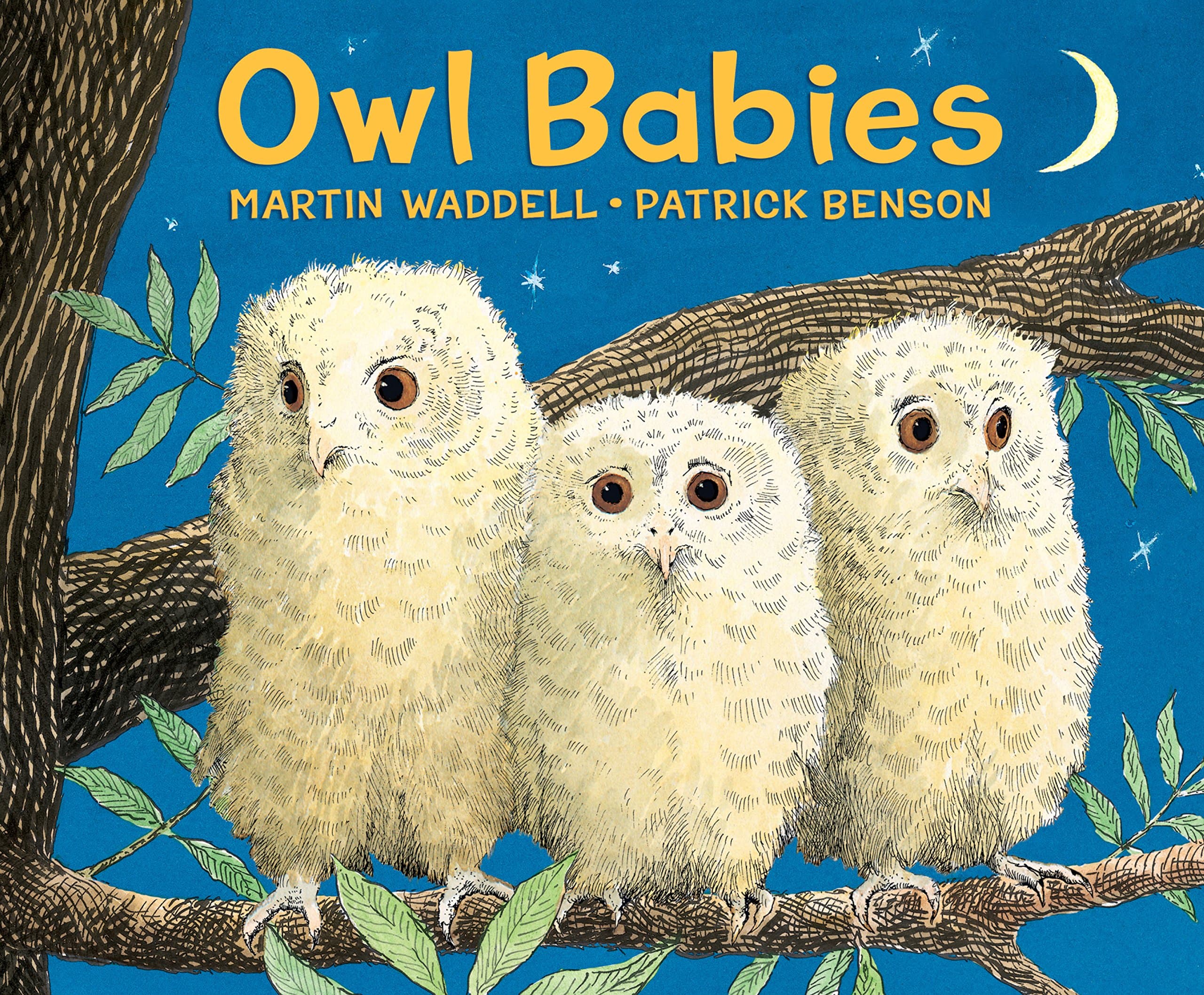 Owl Babies Kindle Edition