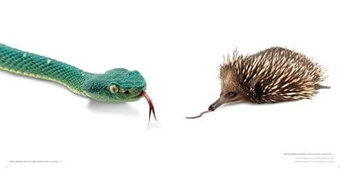 The Photo Ark: One Man's Quest to Document the World's Animals (National Geographic Photo Ark)