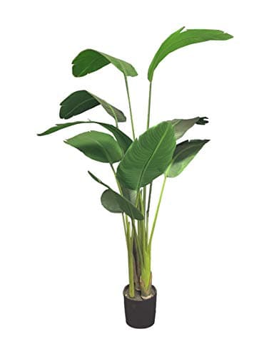 AMERIQUE Unique and Gorgeous 5' Bird of Paradise Artificial Tree Plant Real Touch Technology, with Nursery Plastic Pot, UV Protection, for Both Indoor and Outdoor, 5 feet, Green