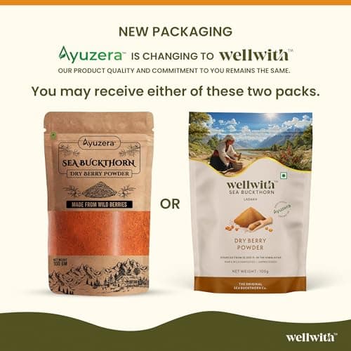 Ayuzera Himalayan Sea Buckthorn Berries Powder 500 grams Rich in Omega 3, 6, 7, 9 Collagen, Fiber, Omegas, Vitamin C, Vitamin E Dry Sea Buckthorn Berry Powder (500 grams)