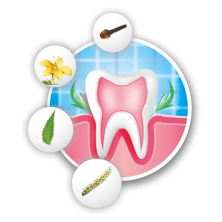 Arodent Ayurvedic Gum & Dental Paste, Bleeding Gums, Sensitivity Protection, Anti Cavity, Healthy gums, Bad breath, Plaque, fresh & white teeth daily oral care - complete family toothpaste (200g*3)