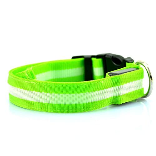 LED Dog Safety Collar Flashing Light up, - Keep Your Friend Safe in Night Walks (Large (17.7~20.5 inch), Green)