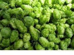 Cascade Lovers Hop Pack