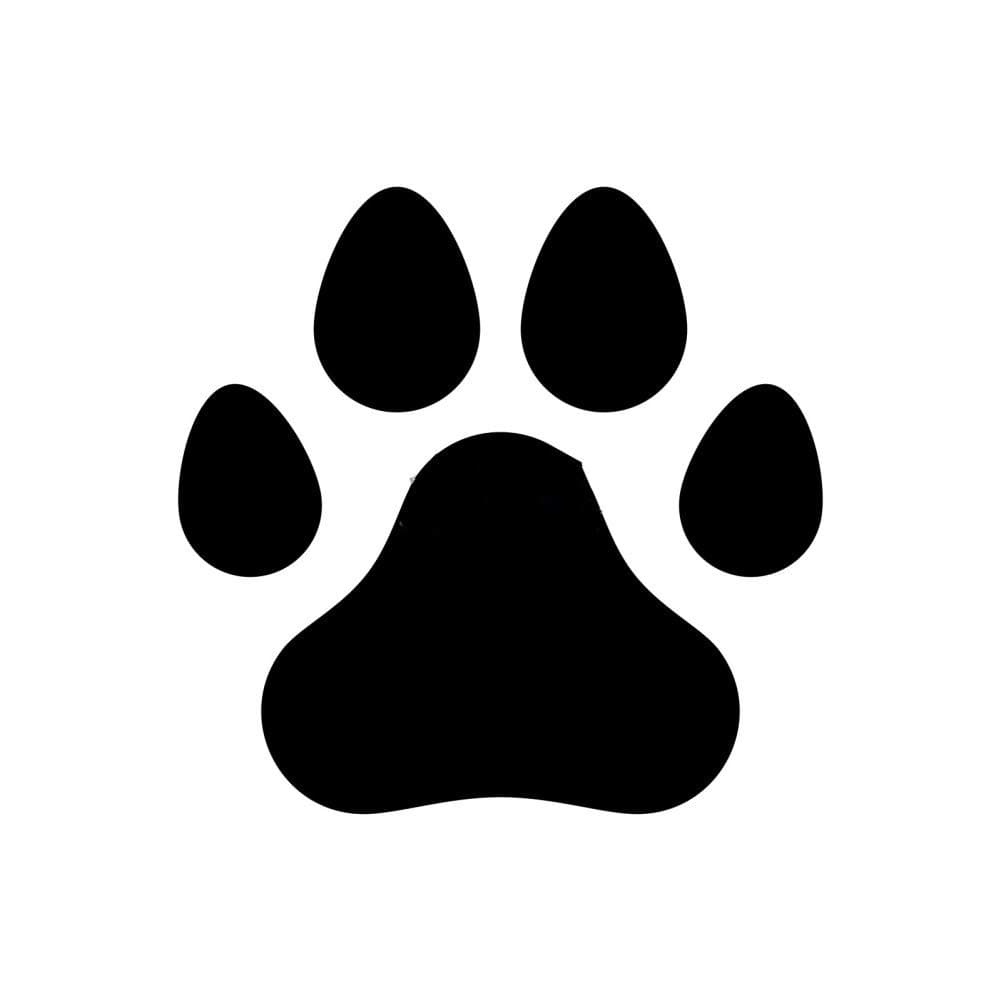 Hanstore Soap Dispenser