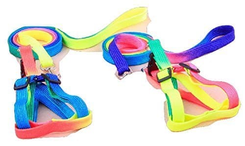 Pet Leash and Harness Set, Adjustable for Small Dogs, Cats, Kittens, Puppies, and Rabbits, Strong Multi-Colored Rainbow Nylon, You Get 2 Complete Sets