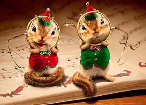 Avanti Christmas Cards, Looks Like a Very Big Christmas, 10-Count