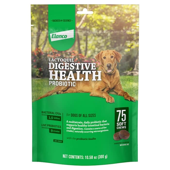 Bayer Lactoquil Soft Chews Digestive Health Probiotic Supplement for Dogs, Count of 75, 1.06 LBS