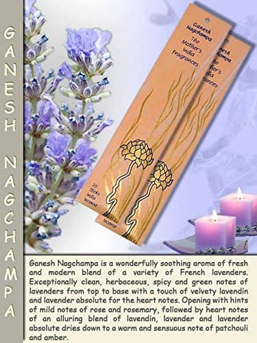 Mother's India Fragrances - Ganesh Nagchampa (12 Stick Packet)