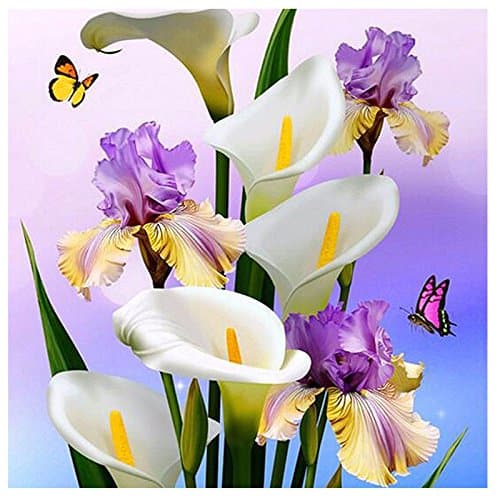 Begonia Flowers, Full Round Drill DIY 5D Diamond Painting by Number Kits, Crystal Rhinestone Diamond Embroidery Paintings Pictures Arts Craft for Home Wall Decor