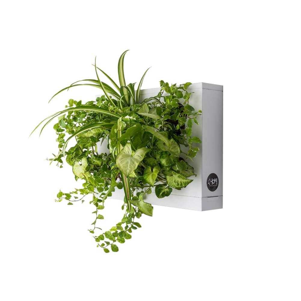 Ortis Green Hang.Oasi.Home - Indoor Vertical Garden, Contains 1 White Planter Unit, Design Your Own Living Wall With Vertical Gardening Planters, Use Indoors, Holds 6 Plants