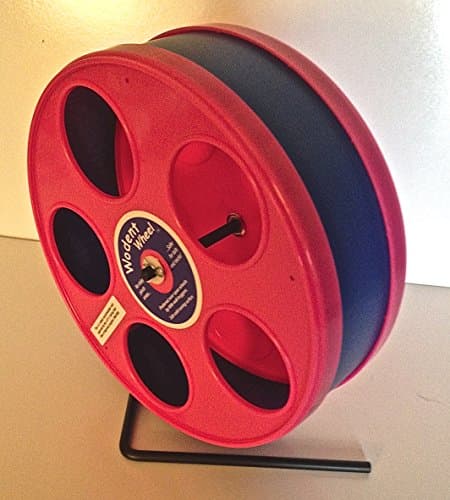 8" Wodent Exercise Wheel (Dark Blue & Pink)