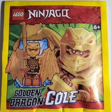 LEGO Ninjago Golden Dragon Cole Ninja Minifigure Paper Foil Pack Set 892304 (Bagged)
