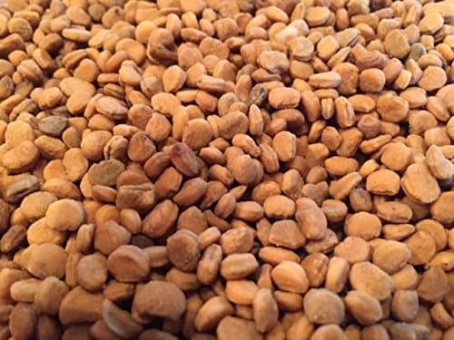 1000 American Ginseng Seeds-Stratisfied 2019 Ready to Plant Now