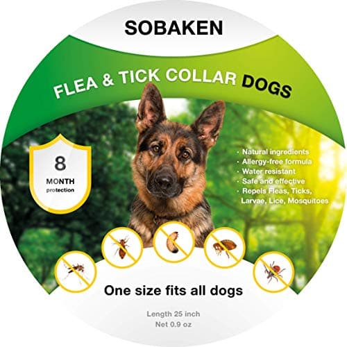 18X8.50-10 Garden Master 4Ply R4 Heavy Duty Lug Tire 18X850-10