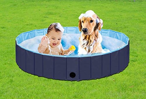 Paws of Mind Foldable & Portable Outdoor Swimming Pool, Bathing Tub, for Pets & Toddlers, Extra Large 63 x 12 in, Dog Cat Whelping Box
