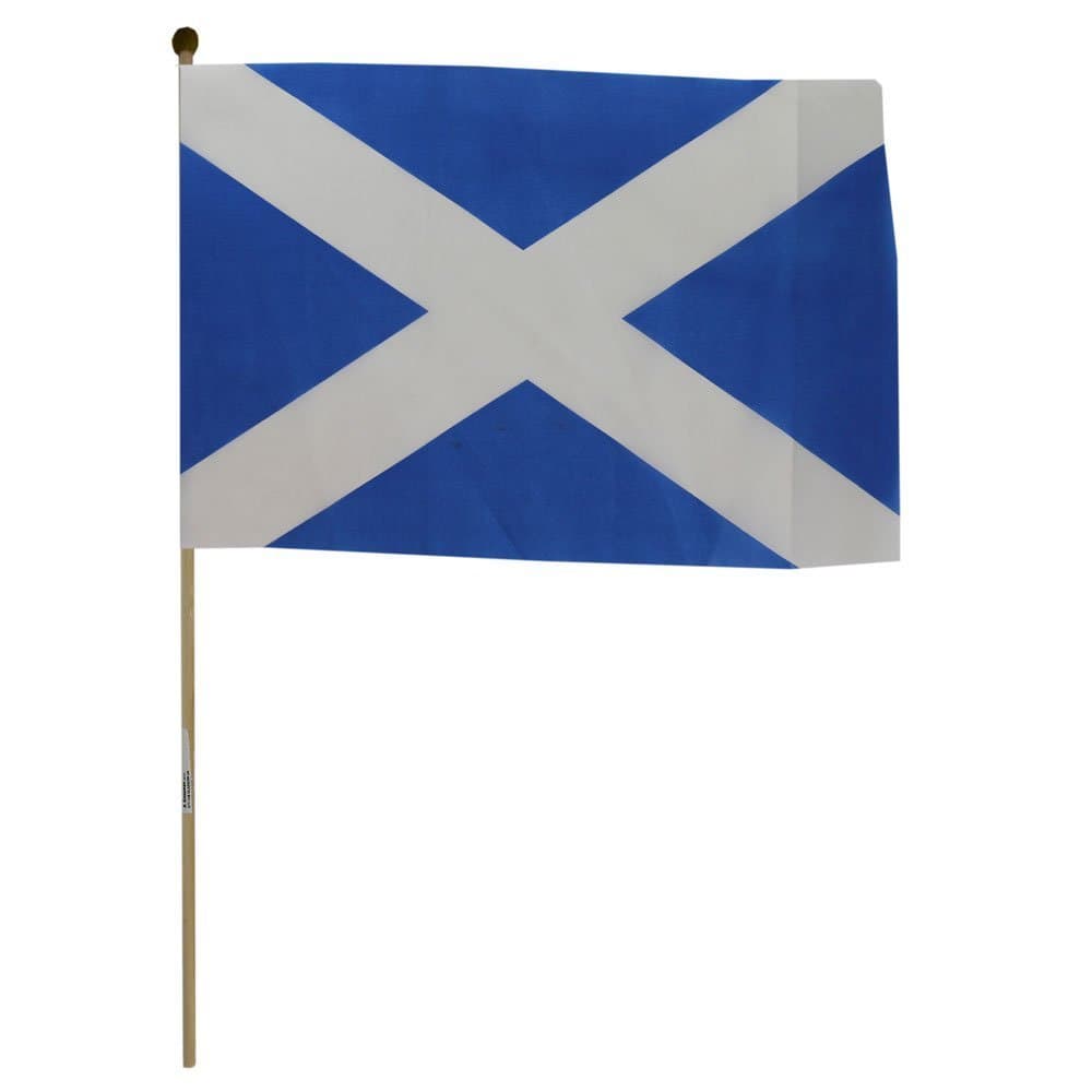 Small Scotland Flag on a stick