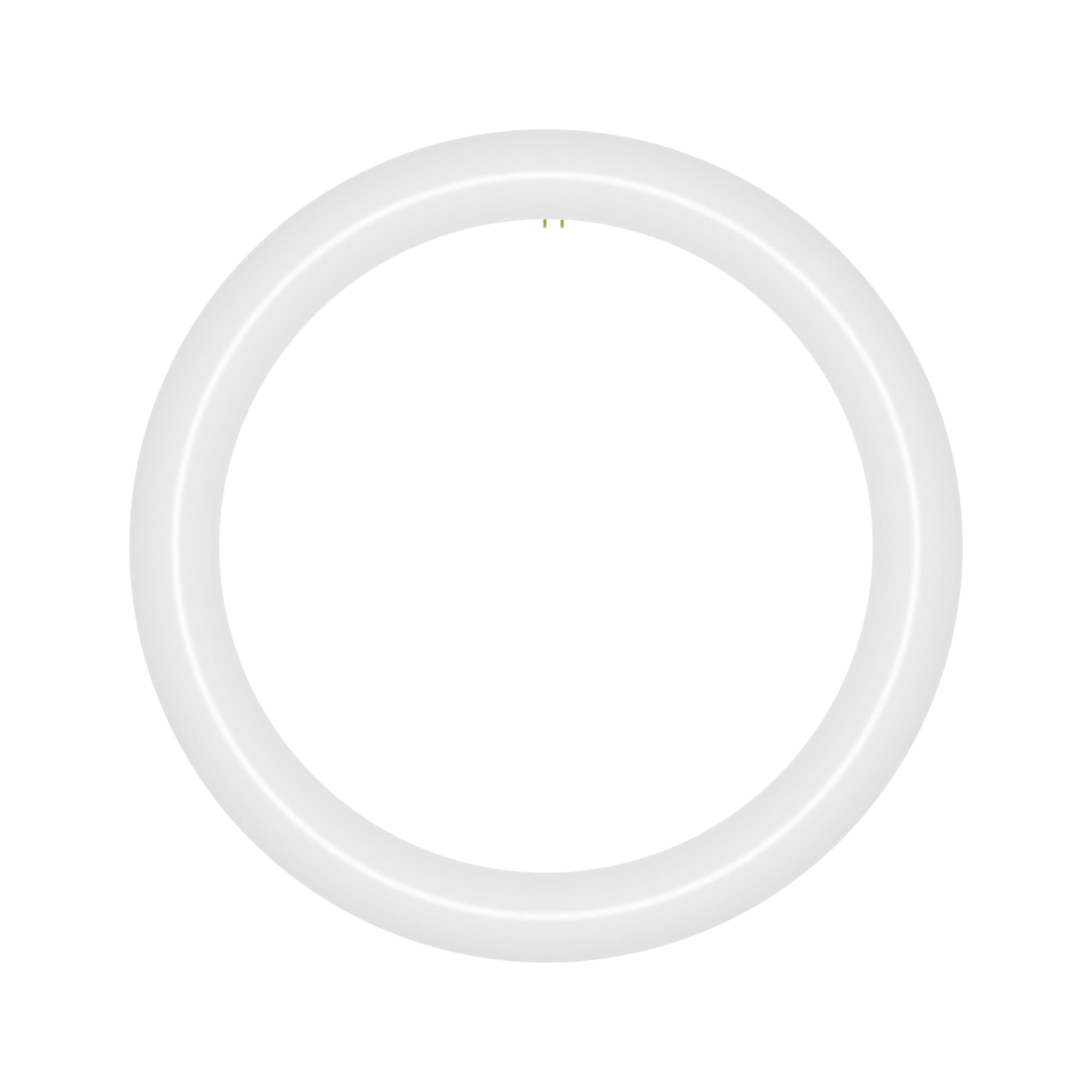 NYLL 12 inch T9 Circline Type A Plug & Play LED Lamp, Daylight (6000K) Direct Replacement for 32W FC12T9/D, FCL32W (Without Rewiring or Modification) Ballast Required!