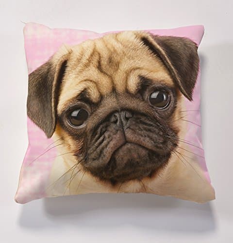 Beautiful Beanbags - Dogs and Puppies Scatter Cushion with Insert - Beautiful Printed Designer 17" x 17" Cushion (Pug Face)