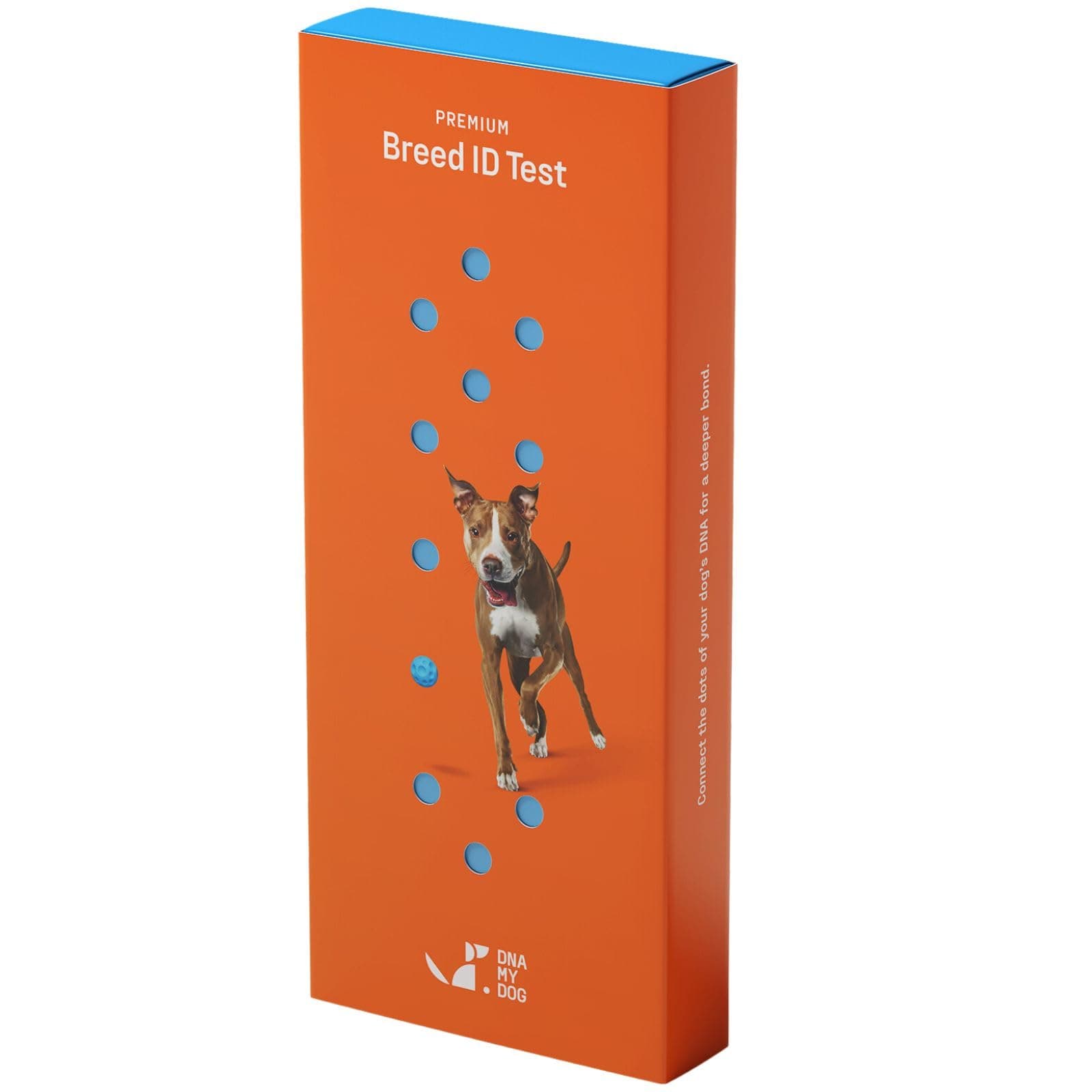 Dna My Dog Hybrid Test -Wolf or Coyote Test Plus Canine Breed Identification Test